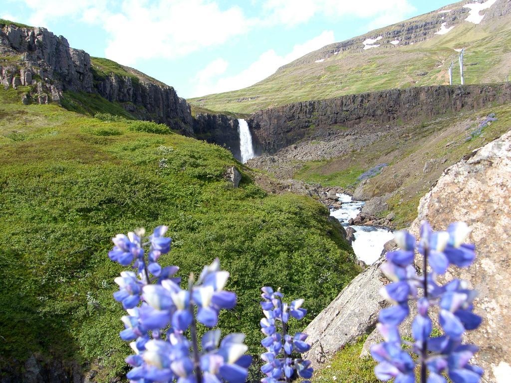 Reydarfjordur Apartment Luaran gambar